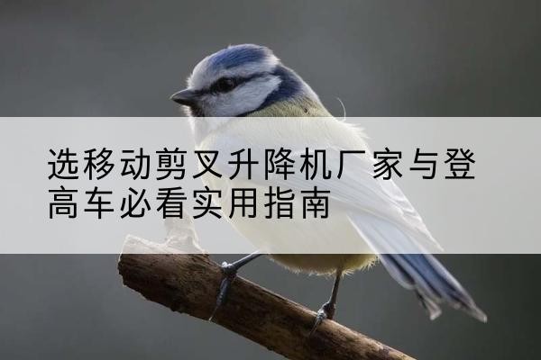 临城电动升降机厂家-选移动剪叉升降机厂家与登高车必看实用指南