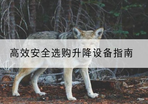临城升降货梯厂家推荐-*安全选购升降设备指南