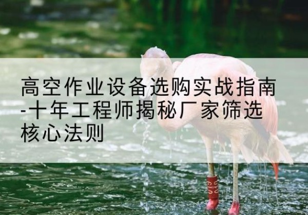 临城剪叉式升降机厂家-高空作业设备选购实战指南-十年工程师揭秘厂家筛选核心法则